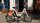 Testrad - i:SY 20" E-Bike P12 ZR - seashell white