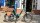 Testrad - i:SY 20" E-Bike E5 ZR F CX Adventure - opal green