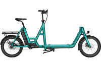 i:SY 20" E-Bike CARGO P12 ZR MAXI - opal green